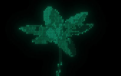 Entre el papel y el prompt